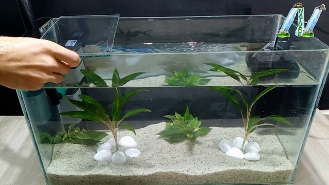 How To Make Aquarium Fountain Used A Plastic Bottle Very Easy / DIY