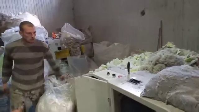 Регенирированное волокно (РВ) смотреть онлайн