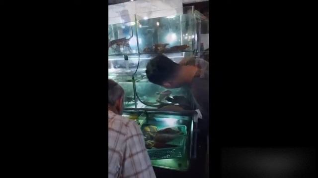 Ночной рынок Фукуока. Вьетнам. Морские гады. смотреть онлайн