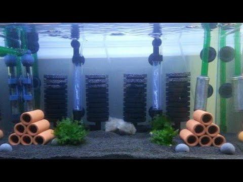 АЭРЛИФТНЫЙ ФИЛЬТР ДЛЯ АКВАРИУМА. ОБЗОР ДОСТОИНСТВ.