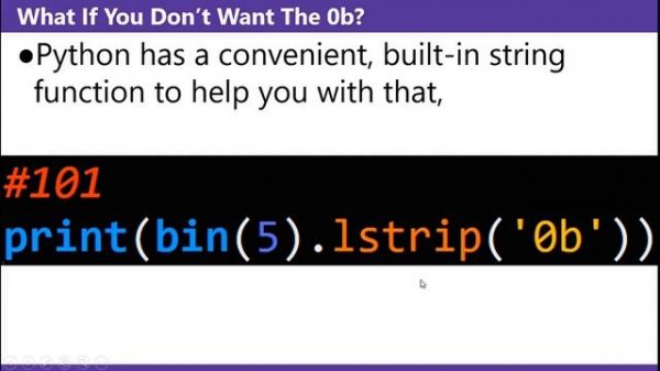 Python Bin Function | Python Program To Convert Numbers To Binary