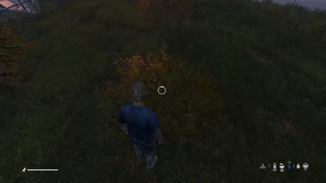 DayZ Xbox Series S Геймплей 60 FPS смотреть онлайн