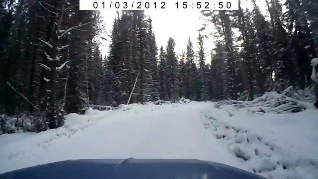 Глаз видерегистратора. смотреть онлайн