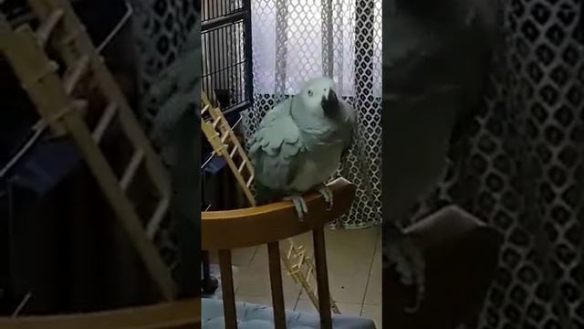 день начинается,посмотрели,улыбнулись и вперёд! смотреть онлайн