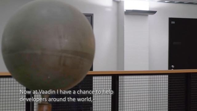 Career In Turku & Southwest Finland – Mehdi Javan, Vaadin