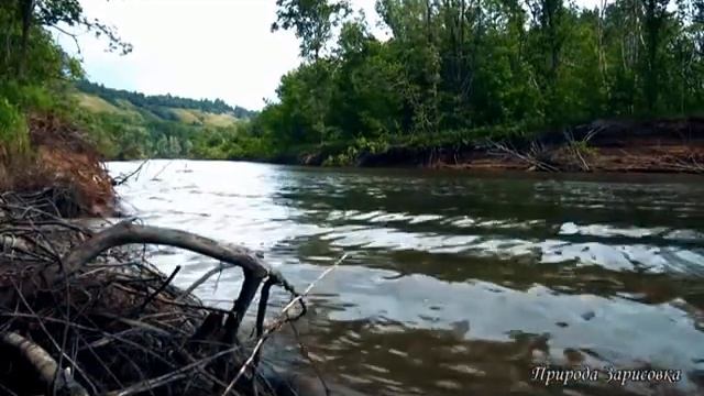 Валентина Толкунова Я по берегу, по круче смотреть онлайн