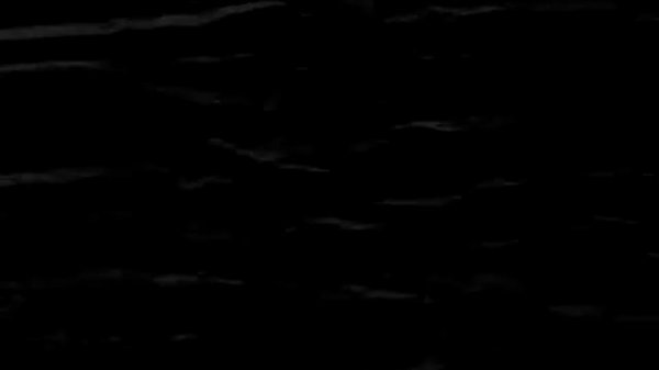 suicidemouse.avi - original version