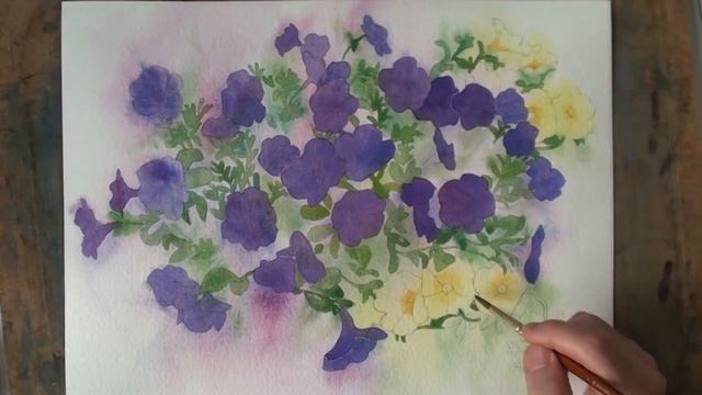 Petunia Night Sky смотреть онлайн