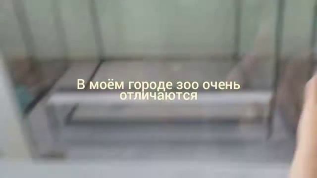 Vloog,по пути в Крым(Судак),гуляю по Казани/Delia Venn смотреть онлайн