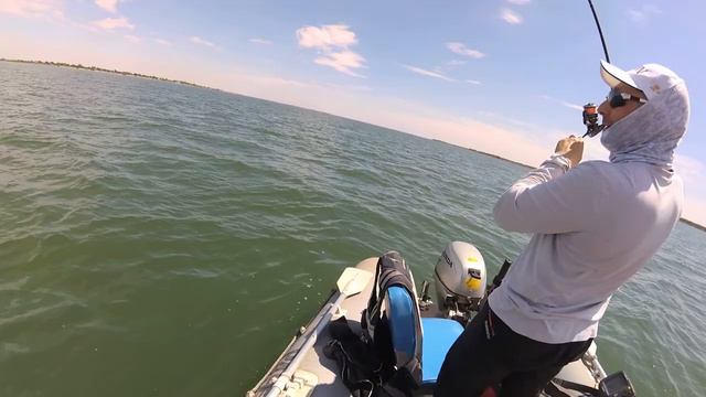 NISSIN ARES DREAMS DRYT - RV 803L