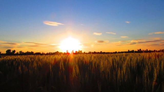 5 Minute Mindfulness Meditation for Being Present | Mother' Nature's beauty and soundscapes смотреть онлайн