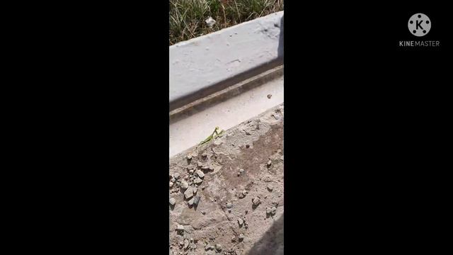 Маяк. Пешком по городу Анапа. смотреть онлайн
