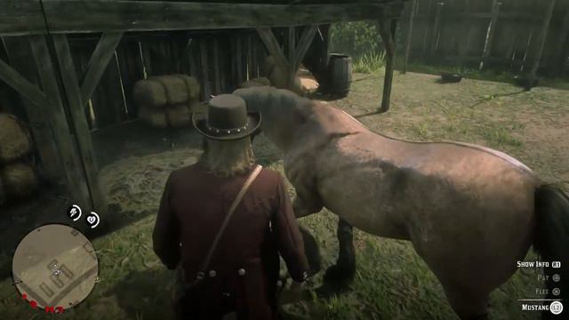 Red Dead Redemption 2 Finding Tiger Stripe Mustang Early in Game No Glitch Lucky смотреть онлайн