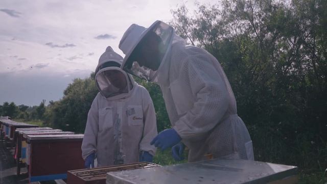 Texas A&M Today: Ep. 1 - Conservation at Texas A&M смотреть онлайн