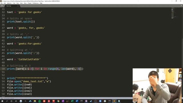 Python Text IO and split (to the POINT demo) смотреть онлайн