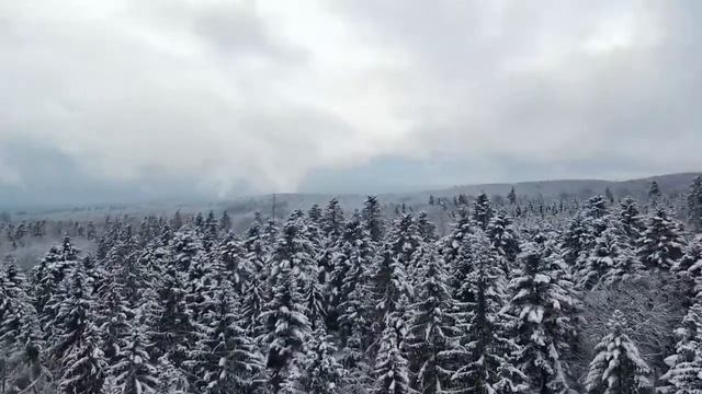 Смысл и законы достойной речи. Ежедневный урок. Урок 11 смотреть онлайн