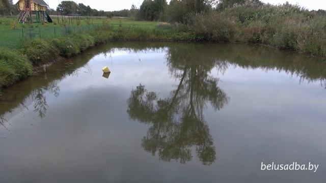 Усадьба Солнечный угол - пруд, Усадьбы Беларуси