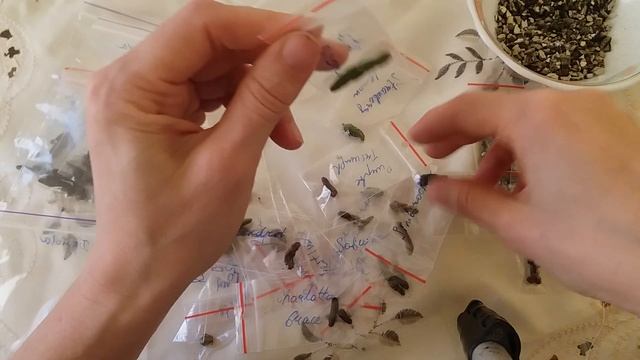 Инструкция по уходу за ризомами ахименесов зимой смотреть онлайн