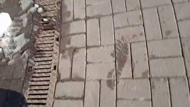 My vlog. (Что я делаю в течение дня😅?) смотреть онлайн