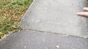 УЧУ НОВИЧКА ДЕЛАТЬ ТРЮКИ НА САМОКАТЕ