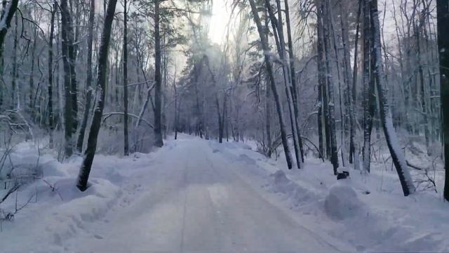 Т1 Перевозки или где живут хаски смотреть онлайн