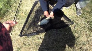 Отличное открытие сезона рыбалки в Крыму! Дальний кордон!