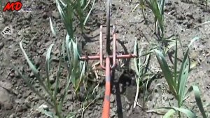 Самодельный пропольник-плоскорез весной на обработке огородов