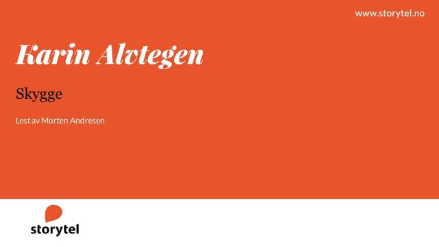 Lydbok - Karin Alvtegen: Skygge - Lest av Morten Andresen смотреть онлайн