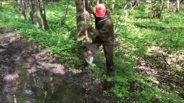 Вышка на ручье. Оборудуем место. смотреть онлайн