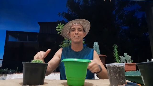 Decaptação do cacto Cereus jamacaru смотреть онлайн