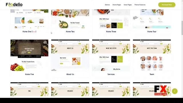 Foodelio Organic and Food WooCommerce Multivendor WordPress Theme food theme organic theme смотреть онлайн