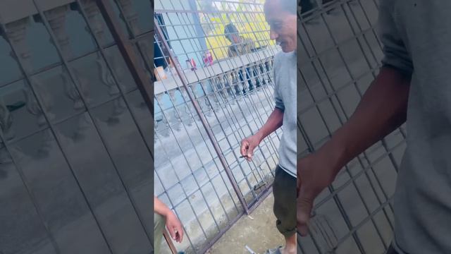 Beroj gari vayera basnu garo x hou Mlai ni🥲🥹 смотреть онлайн