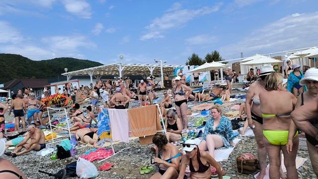 Вот так дети у нас учатся! 2 сентября 2024. Архипо-Осиповка. Море. Линейка. смотреть онлайн