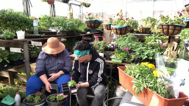 Миняева Юлия и Миняев Илья / КРАСИВОЕ , БЮДЖЕТНОЕ КАШПО ДЛЯ ПЕТУНИИ FIX PRICE смотреть онлайн