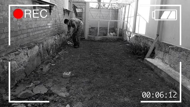 Грядка взошла, клубника прижилась! Отчет по средству АНТИБУРЬЯН против сорняков смотреть онлайн