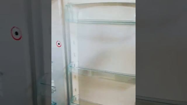 Обзор холодильника Snaige смотреть онлайн