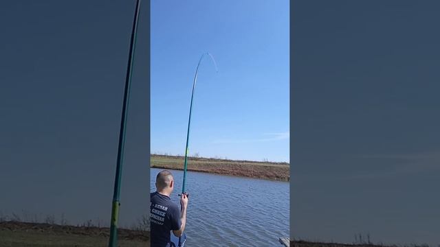 Абашево, ловля карпа. смотреть онлайн