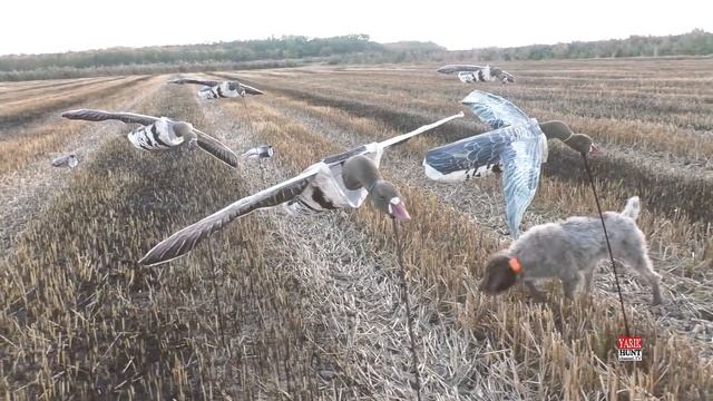 ?ЧУЧЕЛА УТОК И ГУСЕЙ (флюгеры)✅СУПЕР ЛЕГКИЙ КОМПЛЕКТ ДЛЯ МОБИЛЬНОЙ ОХОТЫ смотреть онлайн