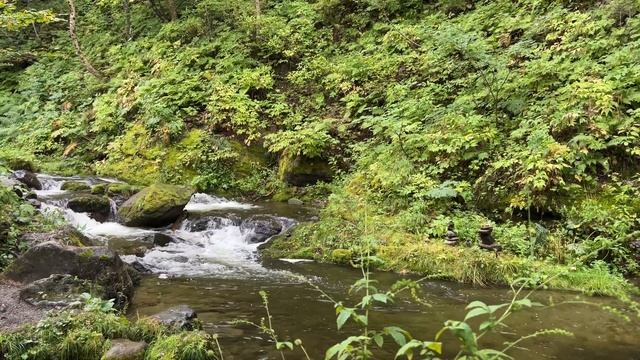 МЕДИТАЦИЯ «ГОРНЫЙ РУЧЕЙ». ЗВУКИ ПРИРОДЫ - СЛУШАЙ, ЧТОБЫ СНЯТЬ НАПРЯЖЕНИЕ И УБРАТЬ ЛИШНЕЕ ИЗ ГОЛОВЫ смотреть онлайн