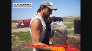 ГРИБНЫЕ БЛОКИ вешенка королевская по нестерильной технологии