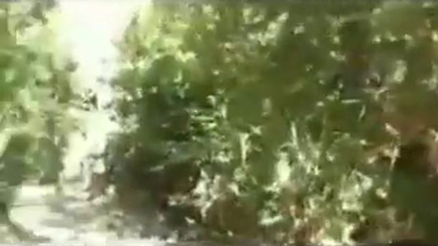 История без названия. Часть 11. Враждебный прием. смотреть онлайн