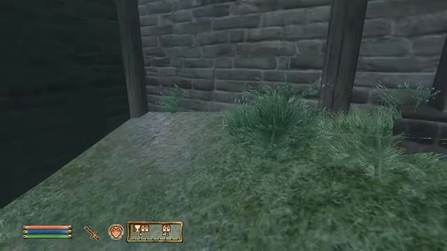 TES IV Oblivion (Моды, дополнения, секреты, прохождения) #1 смотреть онлайн