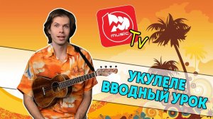 История Укулеле, виды укулеле, как выбрать укулеле и зачем вообще играть на укулеле