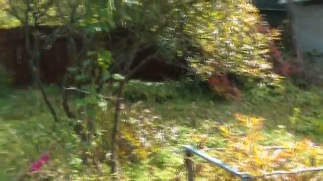 Дача Подмосковье Ступино Каширское шоссе смотреть онлайн