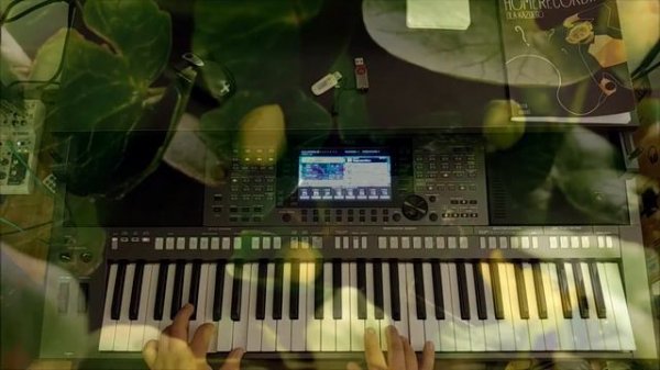 a-ha Lifelines - Yamaha PSR S770