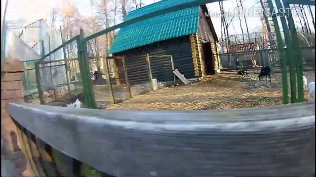 Vlog)))29.04.18 смотреть онлайн