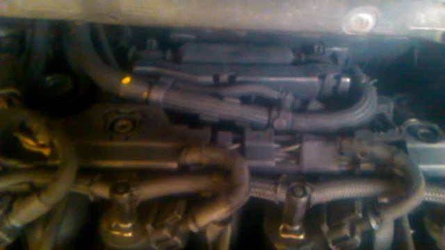 Citroën C4 fume (forum) смотреть онлайн