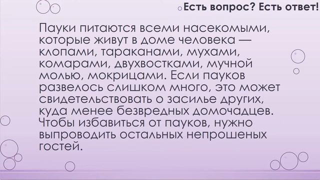 Почему в доме много пауков? [37] смотреть онлайн