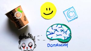 Научпок - Что, если совсем не спать