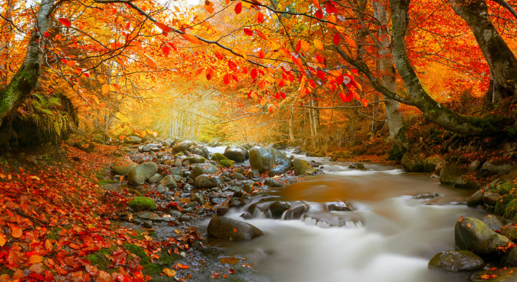 Шум реки и Пение Птиц, поможет сконцентрироваться на работе. Белый шум для сна ✦ Успокаивающие Звуки смотреть онлайн